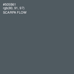 #505B61 - Scarpa Flow Color Image